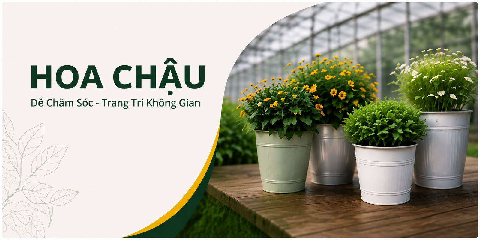 HOA CHẬU
Trang Trí Không Gian