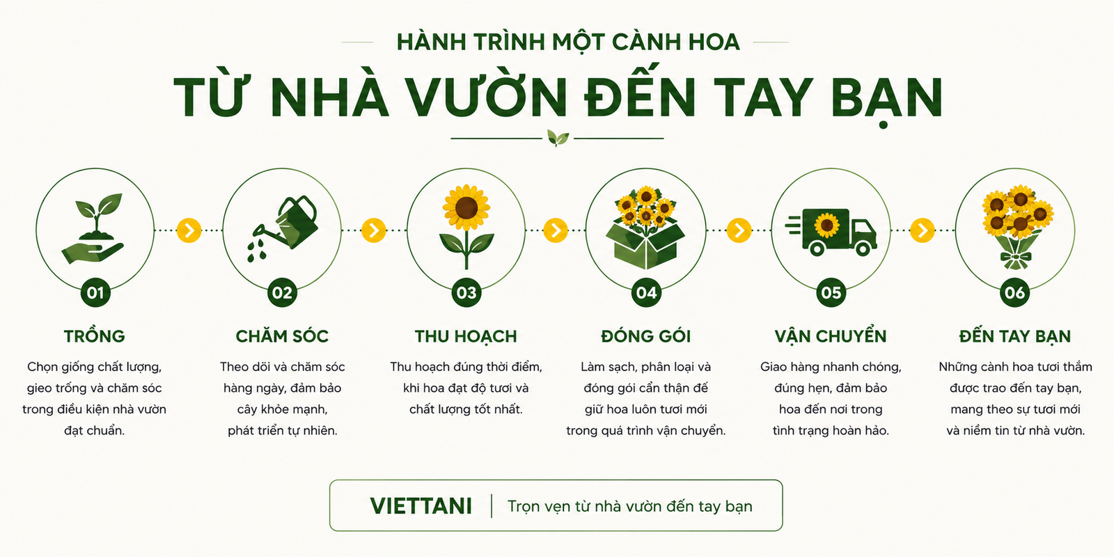 Hành trình hoa Viettani